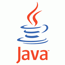 Java SE Runtime Environment (JRE) 6 Update 19